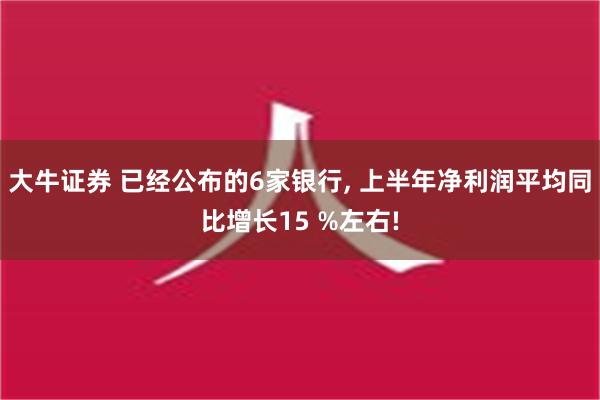 大牛证券 已经公布的6家银行, 上半年净利润平均同比增长15 %左右!