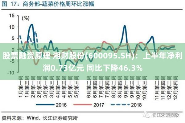 股票融资原理 湘财股份(600095.SH)：上半年净利润0.73亿元 同比下降46.3%