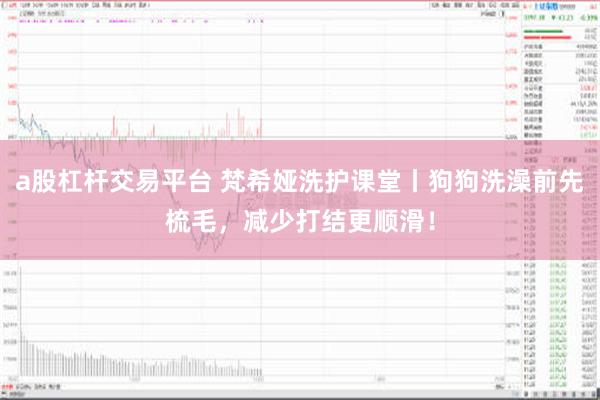 a股杠杆交易平台 梵希娅洗护课堂丨狗狗洗澡前先梳毛，减少打结更顺滑！