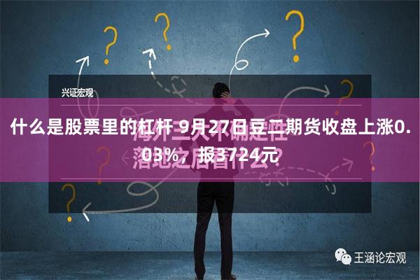 什么是股票里的杠杆 9月27日豆二期货收盘上涨0.03%，报3724元