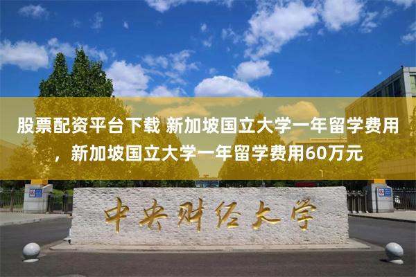 股票配资平台下载 新加坡国立大学一年留学费用，新加坡国立大学一年留学费用60万元