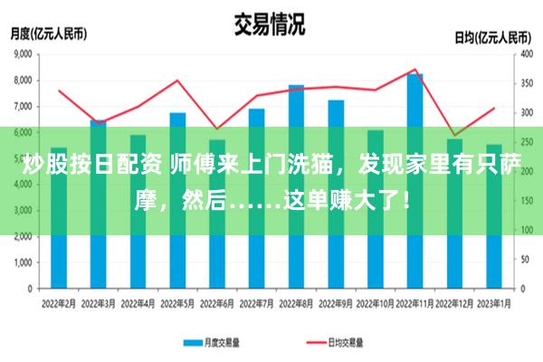 炒股按日配资 师傅来上门洗猫，发现家里有只萨摩，然后……这单赚大了！