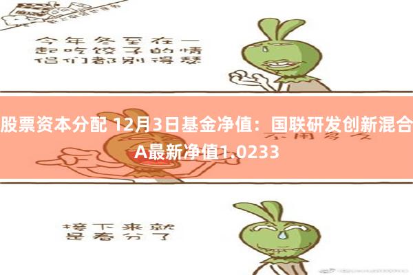 股票资本分配 12月3日基金净值：国联研发创新混合A最新净值1.0233